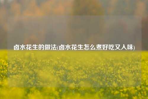 卤水花生的做法(卤水花生怎么煮好吃又入味)
