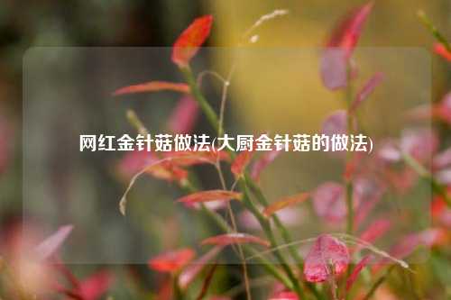 网红金针菇做法(大厨金针菇的做法)