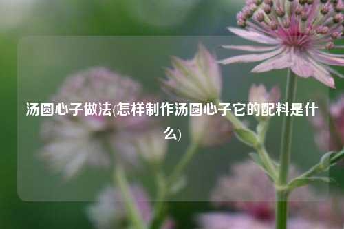 汤圆心子做法(怎样制作汤圆心子它的配料是什么)