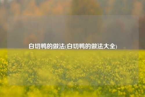白切鸭的做法(白切鸭的做法大全)
