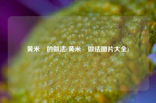 黄米粿的做法(黄米粿做法图片大全)