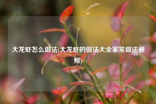 大龙虾怎么做法(大龙虾的做法大全家常做法视频)