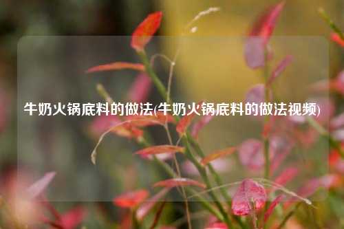 牛奶火锅底料的做法(牛奶火锅底料的做法视频)