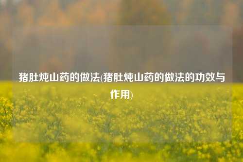 猪肚炖山药的做法(猪肚炖山药的做法的功效与作用)