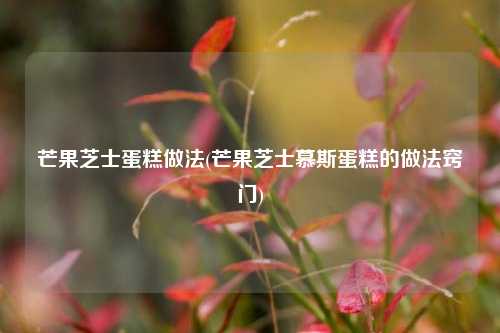 芒果芝士蛋糕做法(芒果芝士慕斯蛋糕的做法窍门)
