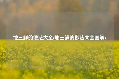 地三鲜的做法大全(地三鲜的做法大全图解)