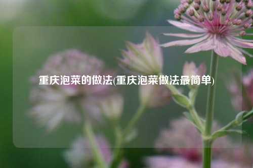 重庆泡菜的做法(重庆泡菜做法最简单)