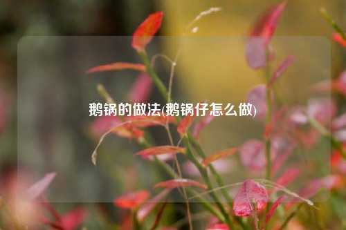 鹅锅的做法(鹅锅仔怎么做)