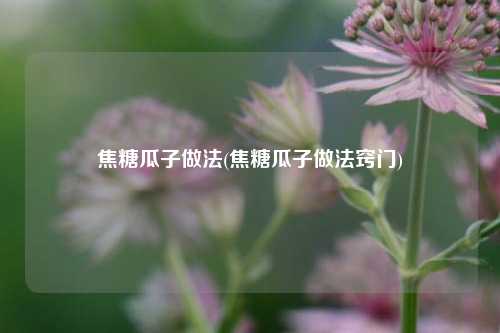 焦糖瓜子做法(焦糖瓜子做法窍门)