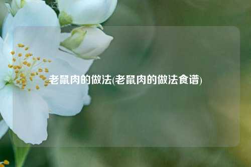 老鼠肉的做法(老鼠肉的做法食谱)