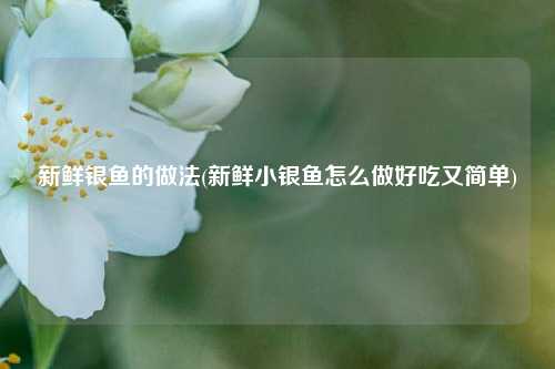 新鲜银鱼的做法(新鲜小银鱼怎么做好吃又简单)