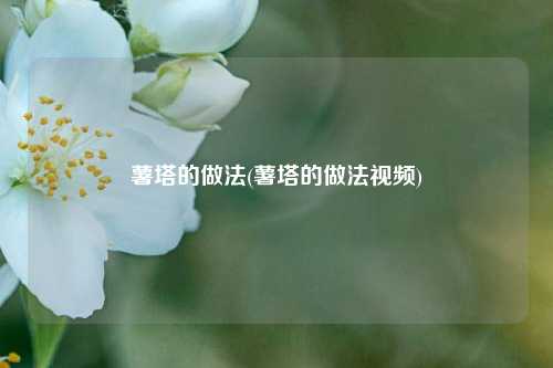 薯塔的做法(薯塔的做法视频)